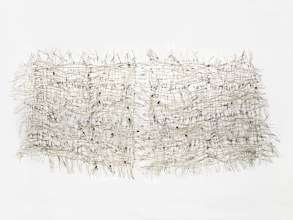Kiyomi Iwata - Southern Crossing Three, 2014, kibiso, rice paper, paint, silkworm cocoons, 4.6 x 9 ft. - Photo by Taylor DabneyKiyomi Iwata - Southern Crossing Three, 2014, kibiso, rice paper, paint, silkworm cocoons, 4.6 x 9 ft. - Photo by Taylor Dabney