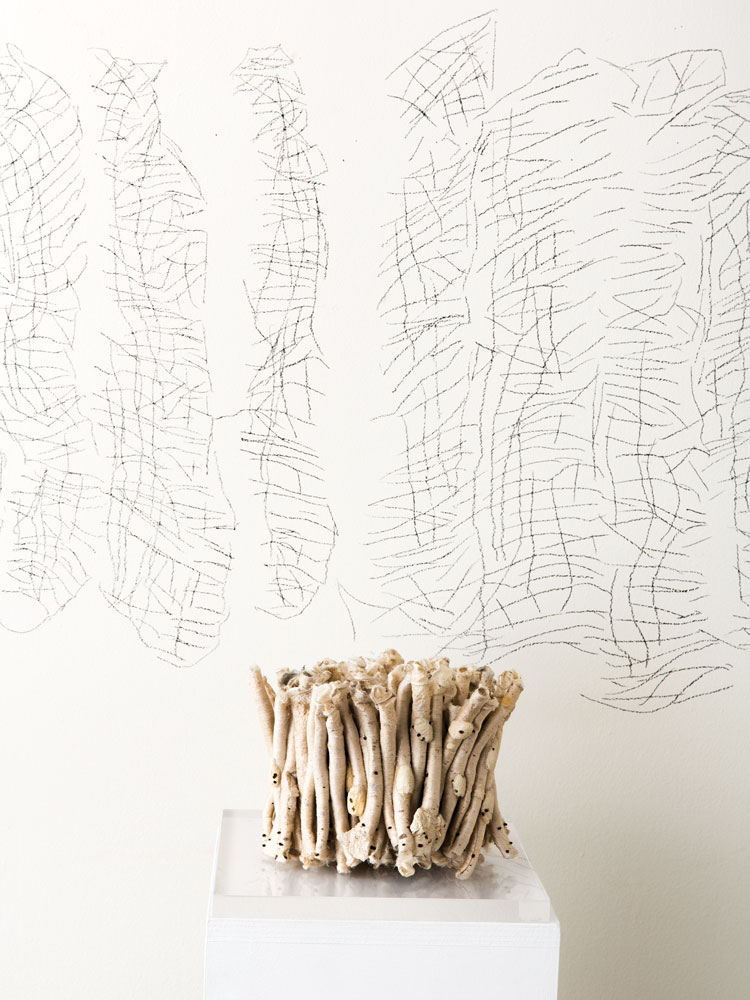 Kiyomi Iwata - work in progress, drawing of Chrysalis Four. Photo by Robert Severi