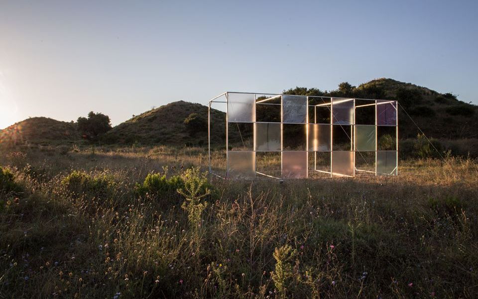 Alberonero @Catanzaro