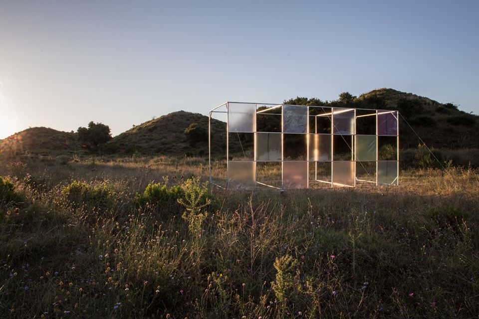 Alberonero @Catanzaro