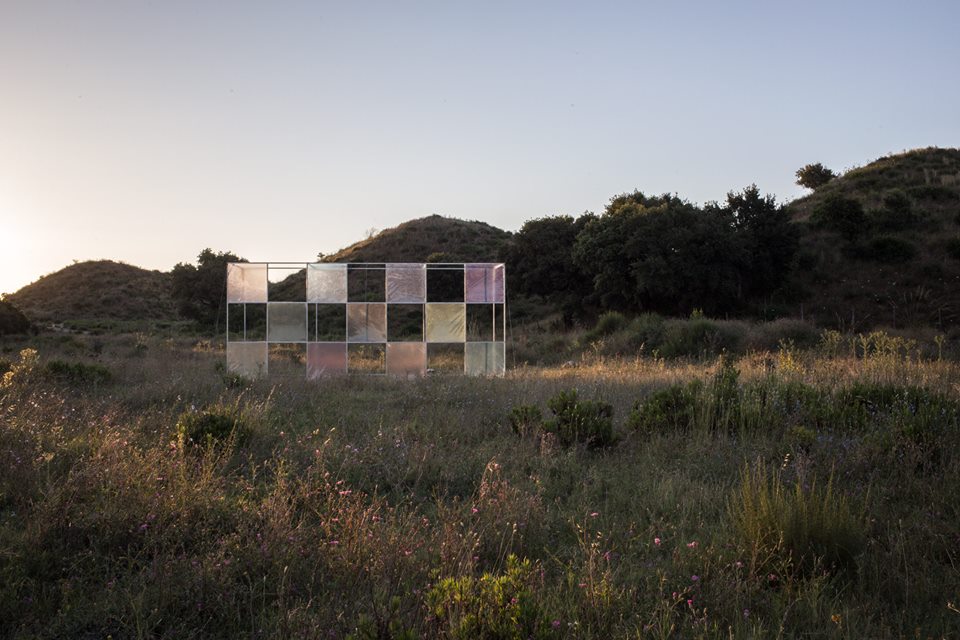 Alberonero @Catanzaro