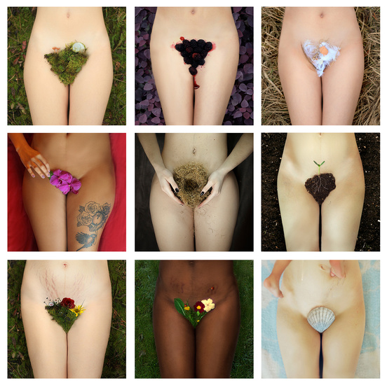 Alexandra Sophie - Jardin Fleuri