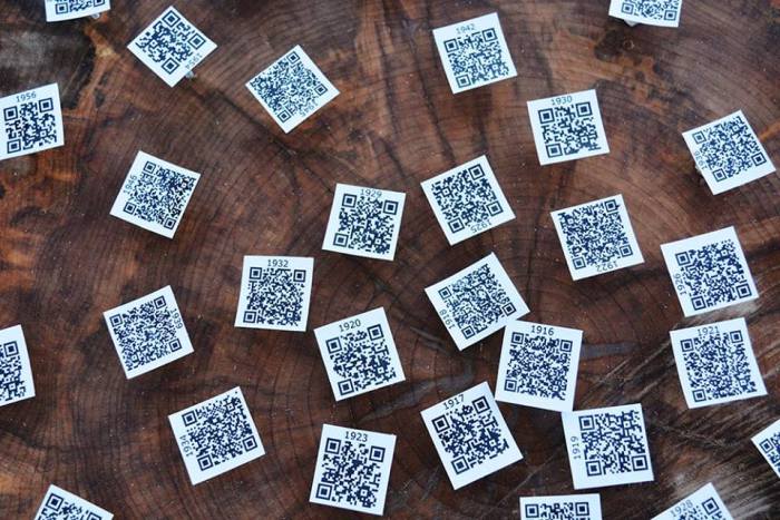 Fra Biancoshock @Tartu, Estonia