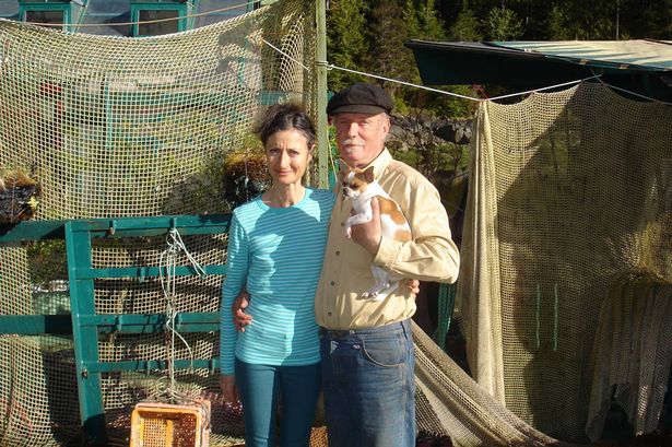 Freedom Cove - Catherine King e Wayne Adams