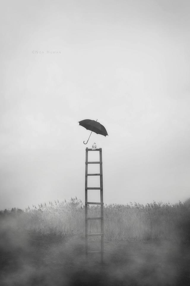 "Something Like Legendary Dream" by Mojtaba Nasiri