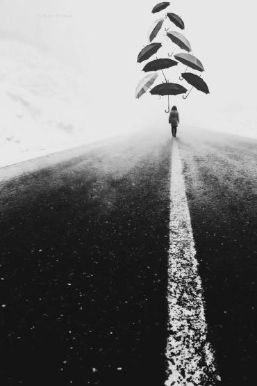 "No room for canopies" by Mojtaba Nasiri