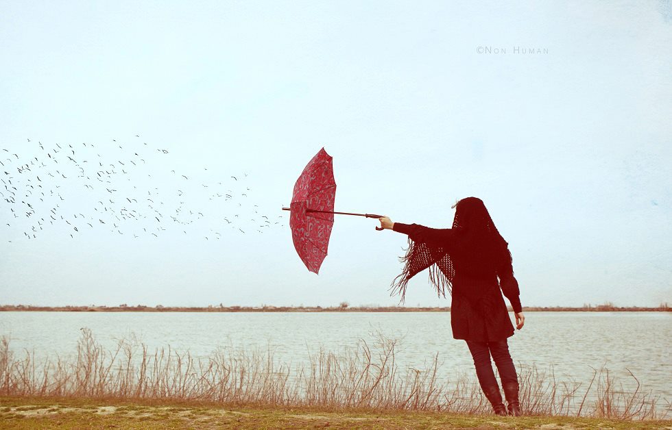 "Feels for a dream" by Mojtaba Nasiri