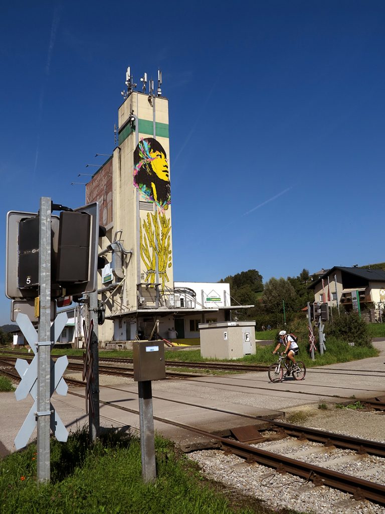 Stinkfish @Ottensheim, Austria