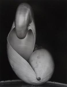 Edward Weston