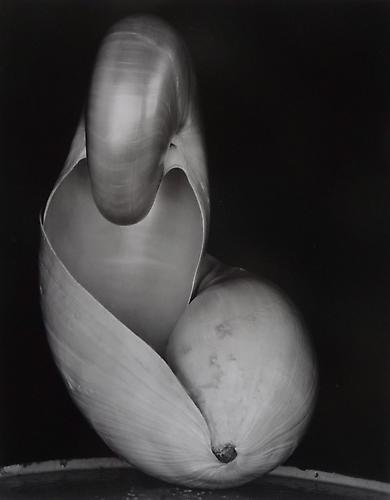 Edward Weston
