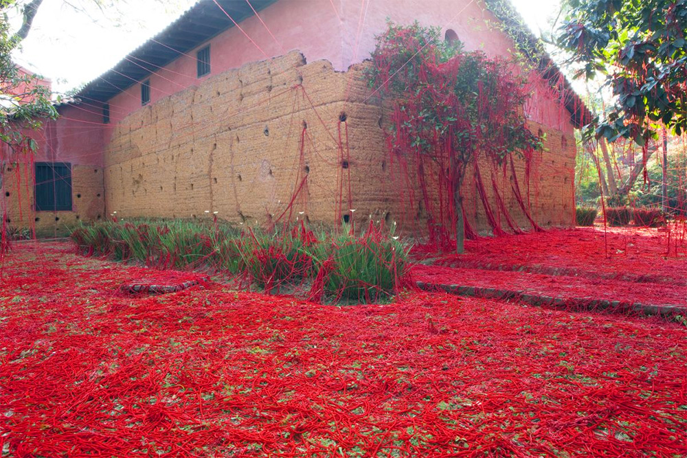 Penelope by Tatiana Blass