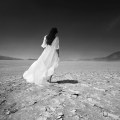 Saul Landell