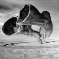 Saul Landell