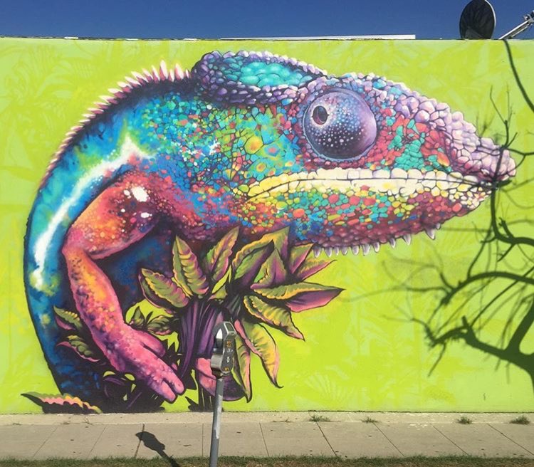 djn3ff @Mar Vista, Los Angeles djn3ff @Mar Vista, Los Angeles