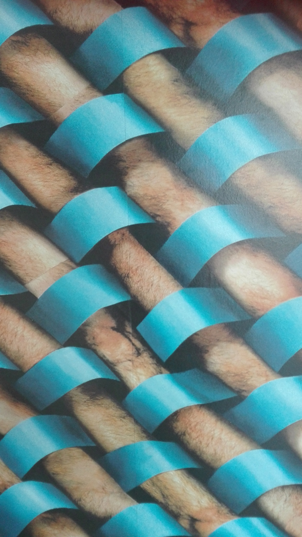 Robert Gober - Arms and Legs Wallpaper (1995-2015),