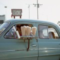 Joel Meyerowitz