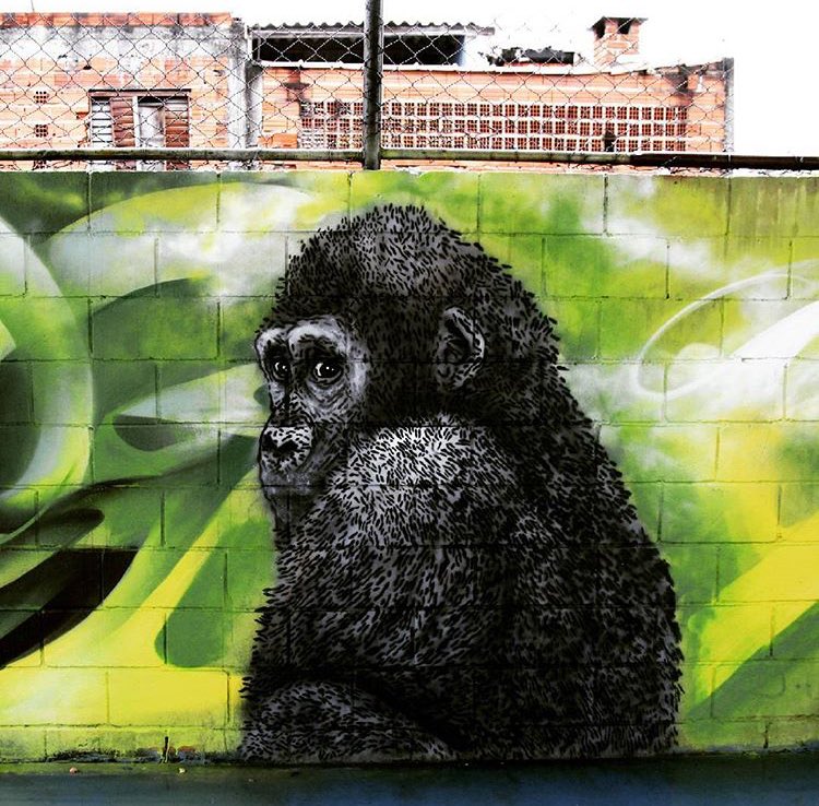 Thassio Bertani @San Paolo, Brasile