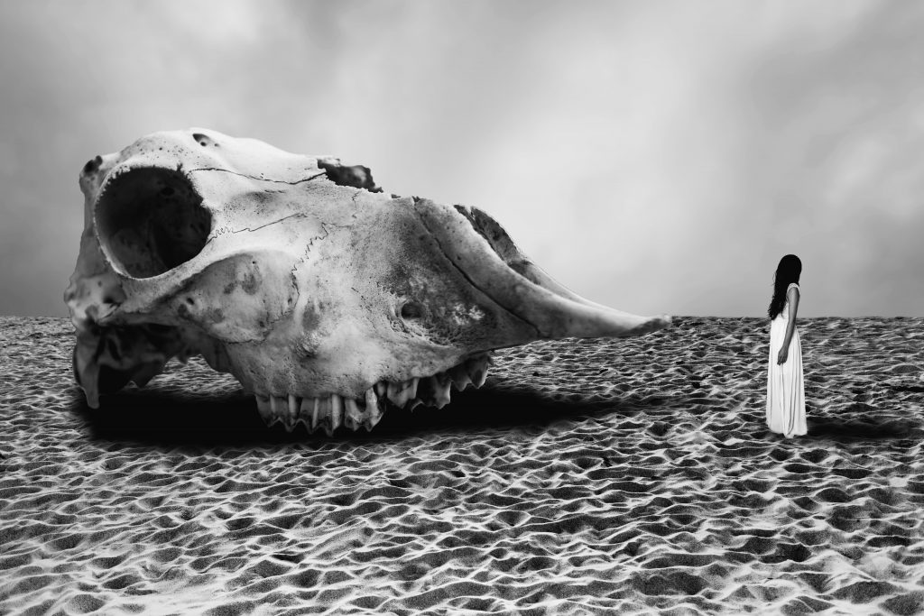 Eric Bénier-Bürckel