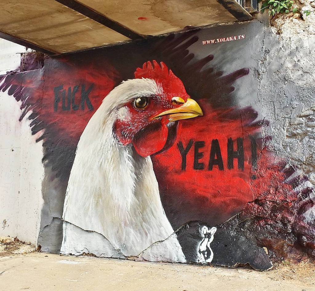 Xolaka @Valencia, Spain