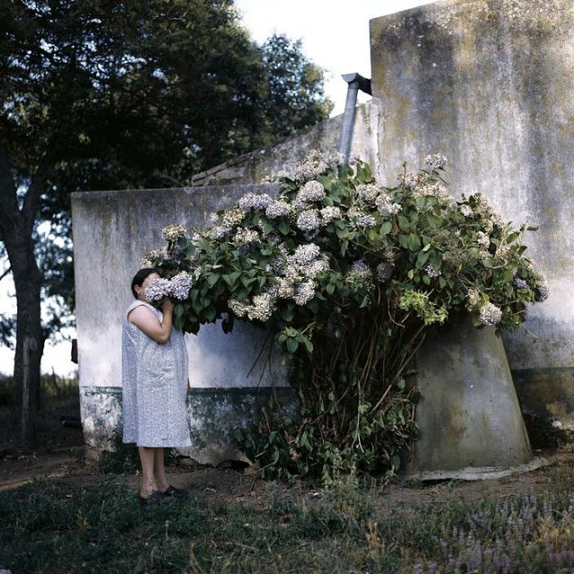 Alessandra Sanguinetti