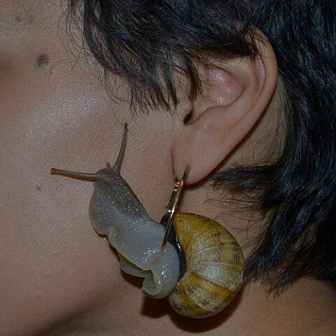 Orecchini lumaca da compagnia