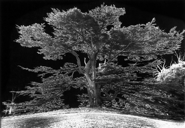 Ugo Mulas - Scenografia per Giro di Vite, 1969