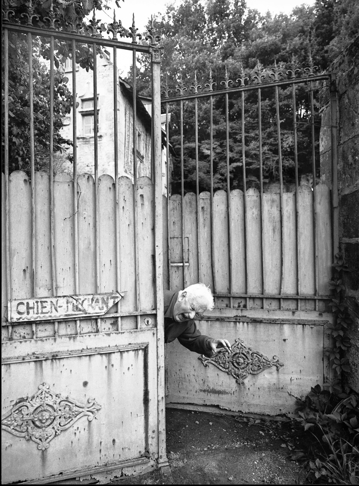 Ugo Mulas , Alexander Calder, Chien Méchant, Saché, 1961 vintage gelatin silver print