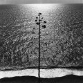Ugo Mulas per “Ossi di Seppia”, Monterosso, 1962