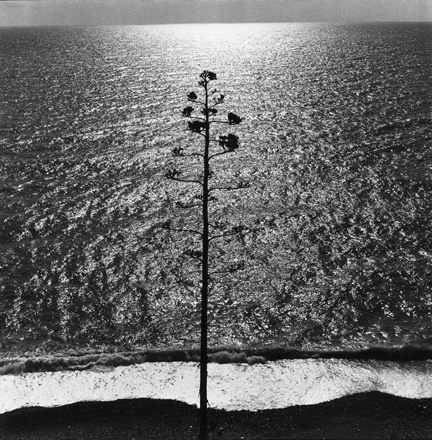 Ugo Mulas per "Ossi di Seppia", Monterosso, 1962