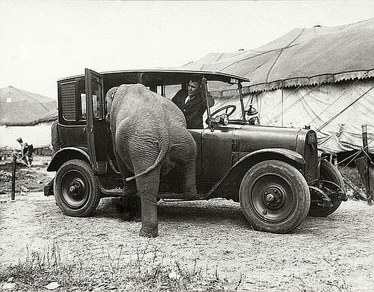 Autore e luogo sconosciuti