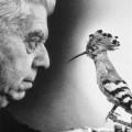 Eugenio Montale, 1970. Fotografia di Ugo Mulas