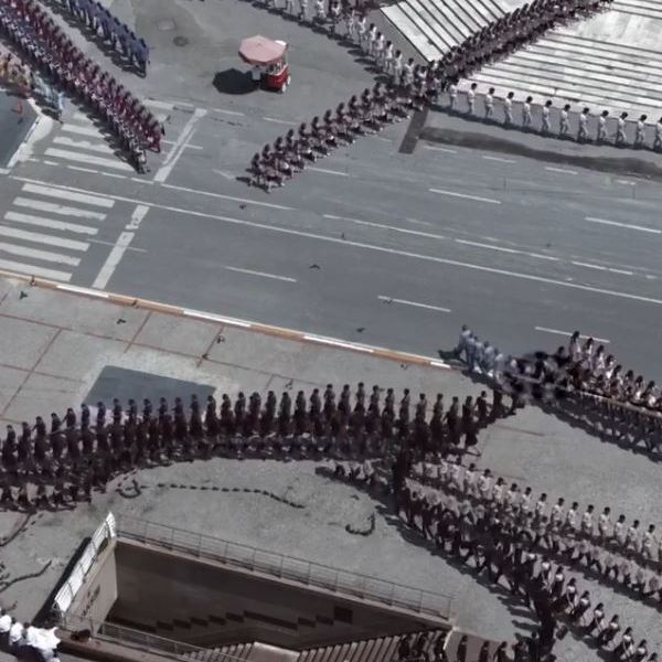 Centipedes by Erdal Inci