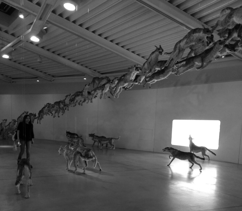 “Head on” di Cai Guo-Qiang @ Centro Pecci di Prato - La fine del mondo