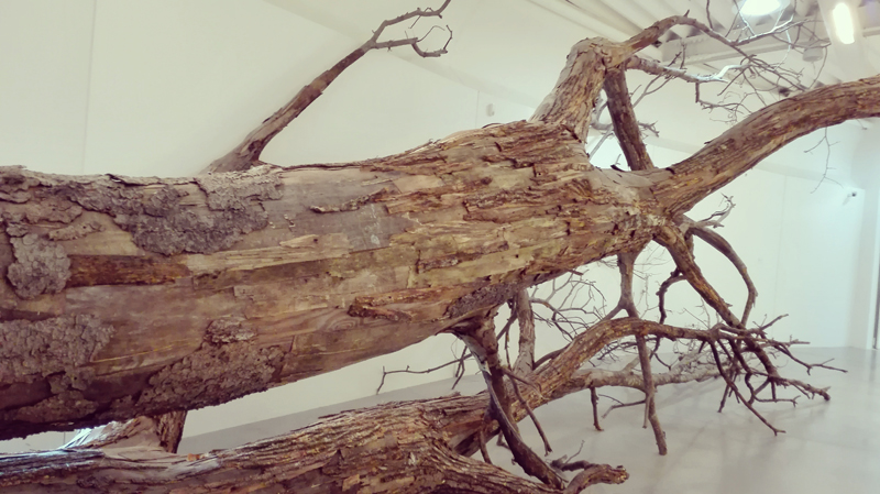 “Transcorredor” di Henrique Oliveira, 2014 @ Centro Pecci di Prato - La fine del mondo