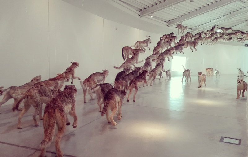 “Head on” di Cai Guo-Qiang @ Centro Pecci di Prato - La fine del mondo