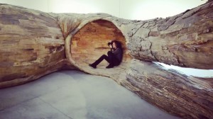 “Transcorredor” di Henrique Oliveira, 2014 @ Centro Pecci di Prato - La fine del mondo