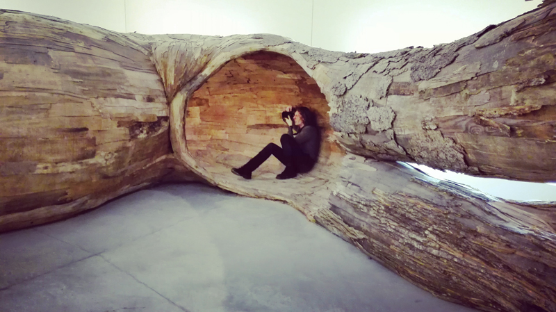 “Transcorredor” di Henrique Oliveira, 2014 @ Centro Pecci di Prato - La fine del mondo