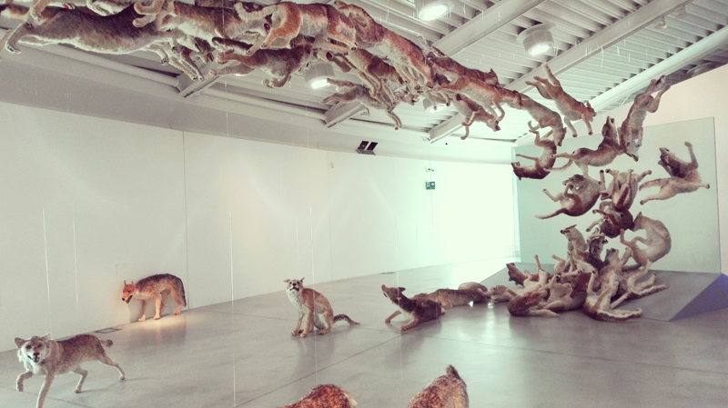 “Head on” di Cai Guo-Qiang @ Centro Pecci di Prato - La fine del mondo