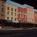 Janet Delaney