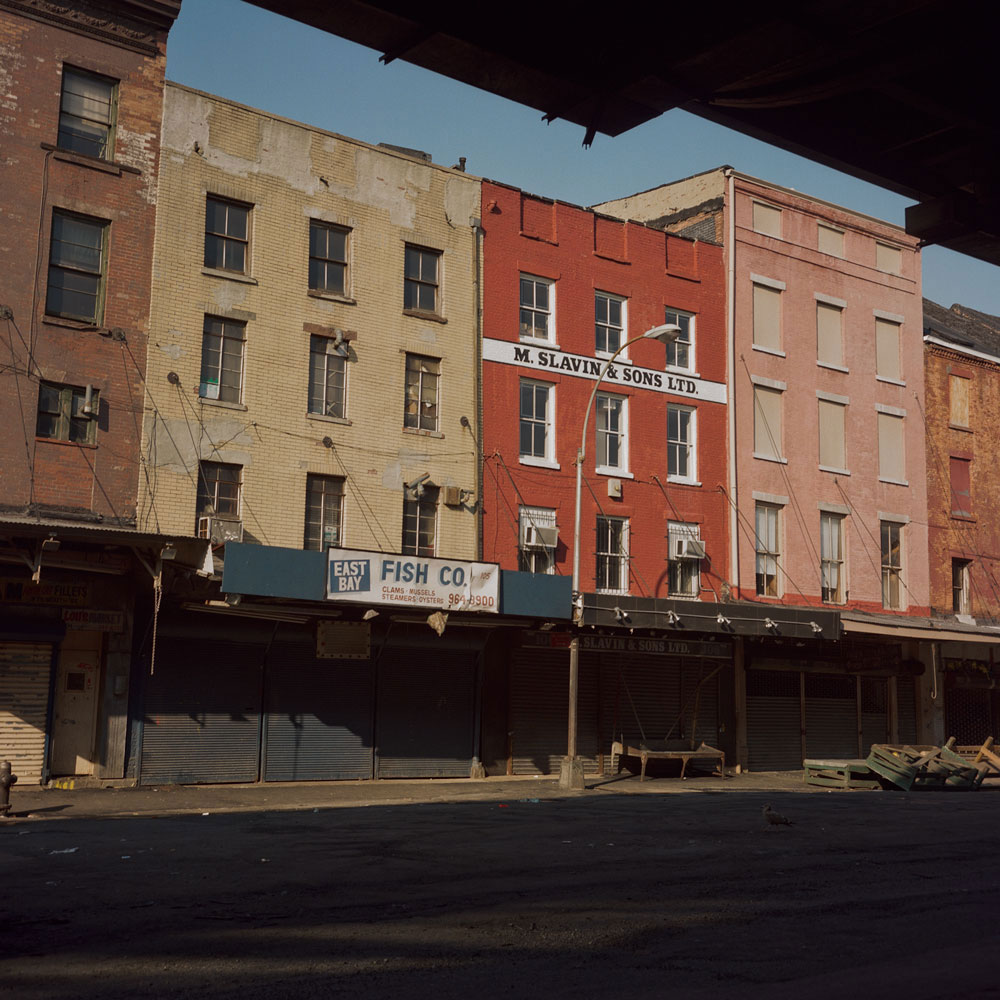 Janet Delaney