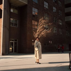 Janet Delaney