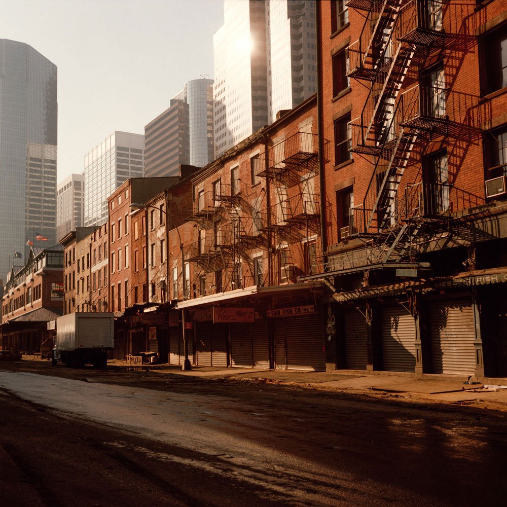Janet Delaney