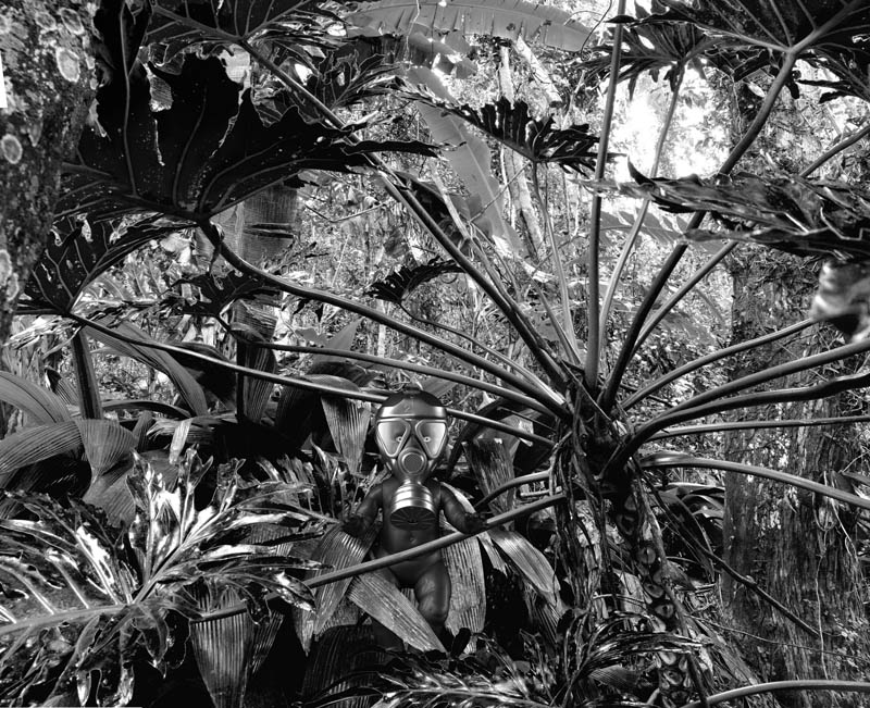 Patrick Van der Elst