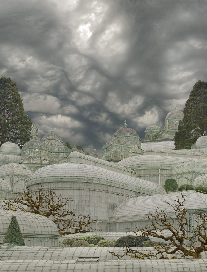 Patrick Van der Elst