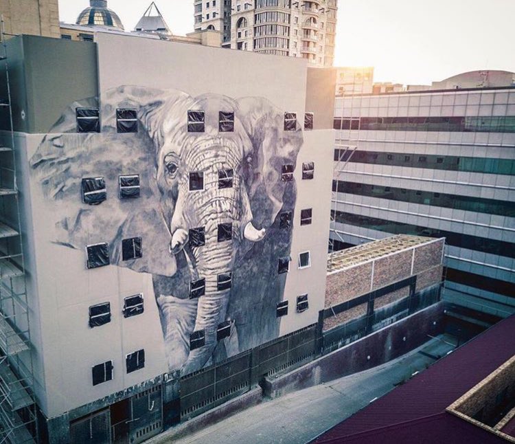 Faith47 @Johannesburg, South Africa Faith47 @Johannesburg, South Africa