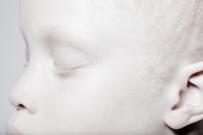 "Rare Flowers" by Vinicius Terranova