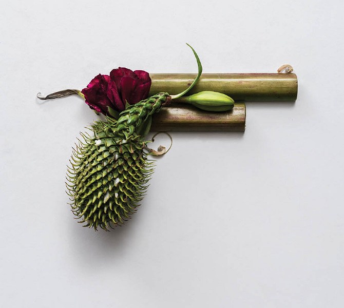 "Harm Less" by Sonia Rentsch