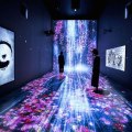“Transcending Boundaries” by TeamLab