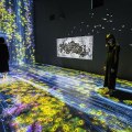 “Transcending Boundaries” by TeamLab