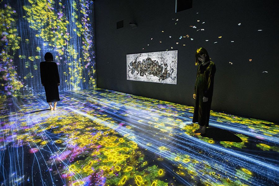 "Transcending Boundaries" by TeamLab